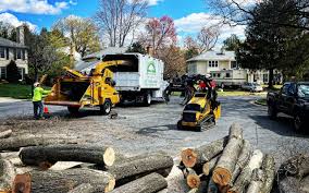 Best Lawn Maintenance Plans  in Montrose, NY