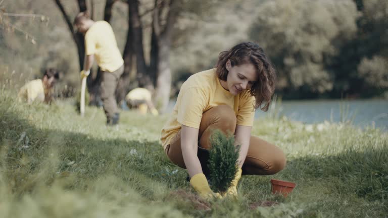 Best Organic Lawn Care Solutions  in Montrose, NY