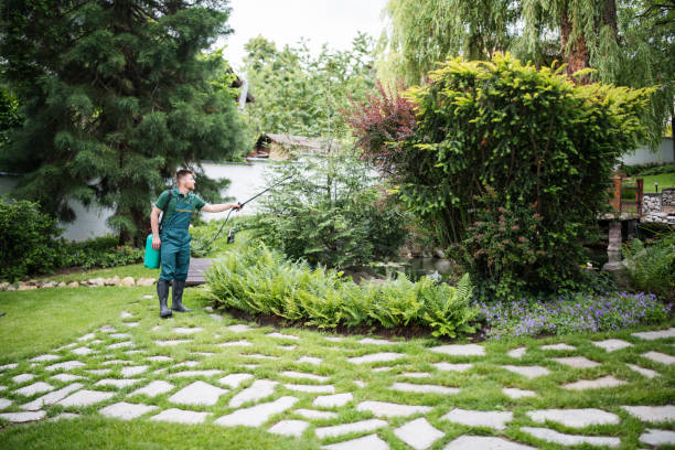 Best Lawn Fertilization  in Montrose, NY