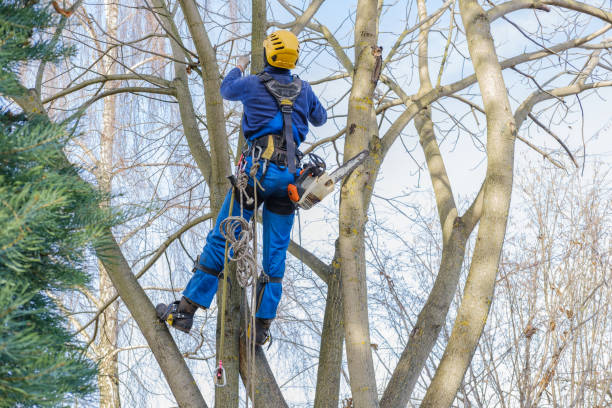 Soil Testing and Treatment in Montrose, NY
