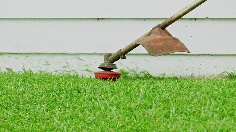 Best Lawn Pest Prevention  in Montrose, NY